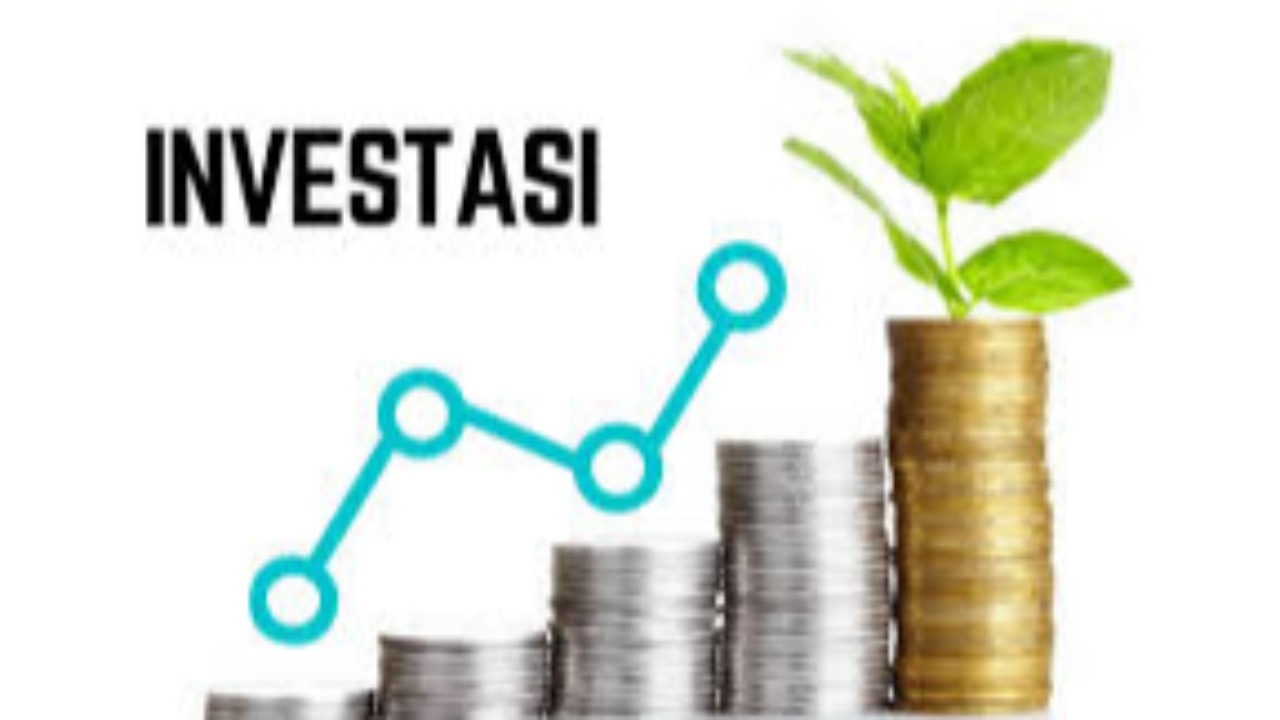 Realisasi investasi di Provinsi Papua Tengah